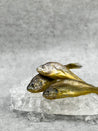 Small Yellow Croaker on ice in Singapore.