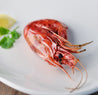 Scarlet Prawn (Carabineros) 红魔虾 400g/box